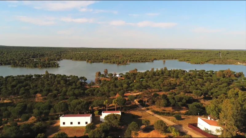PANORAMICA ISTALACION - EMBALSE_campo